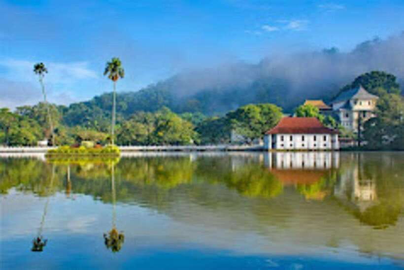 Kandy & Pinnawala & Tea Factory Full Day Tour From Negombo - Kandy Lake, downtown, and the cultural dance show