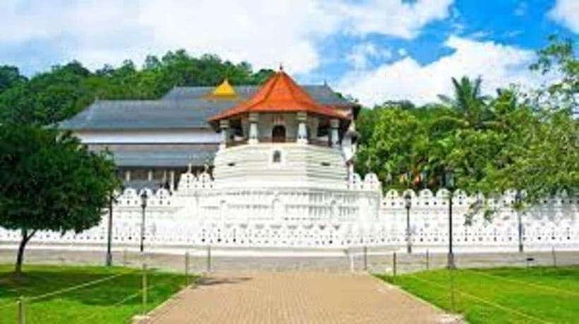 Kandy & Pinnawala & Tea Factory Full Day Tour From Negombo - Spice garden, tea factory, and the taste of the hills