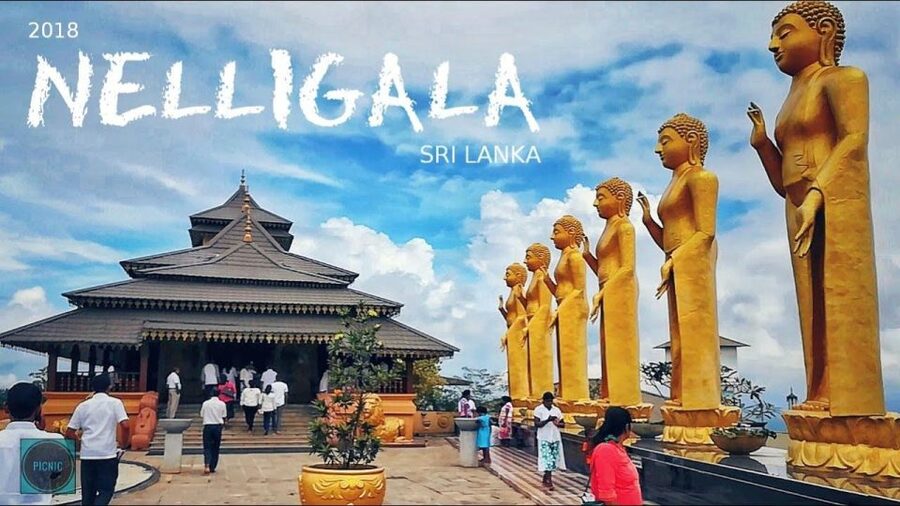 Kandy Private City Tour With Local Guide - Royal Botanical Gardens in Peradeniya