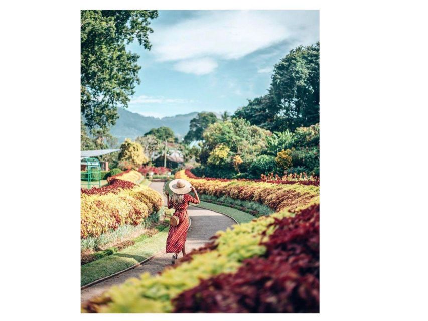 Kandy Private Guided City Day Tour by Local Tuk Tuk - Mahaweli River and the city’s wider setting