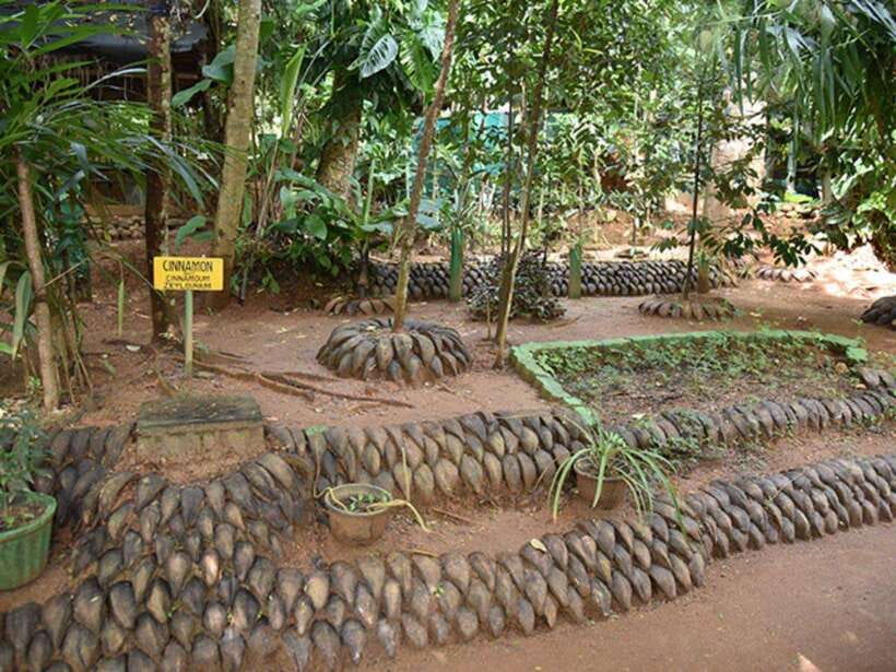 Kandy Private Guided City Tour by Tuk Tuk - Royal Botanical Garden and the Mahaweli River