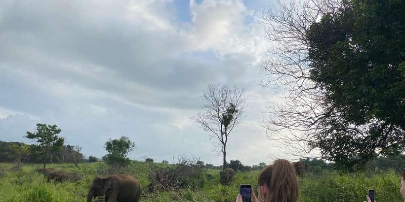 Kandy: Sigiriya, Dambulla & Wildlife Safari Private Tour - The private vehicle and what the guide adds