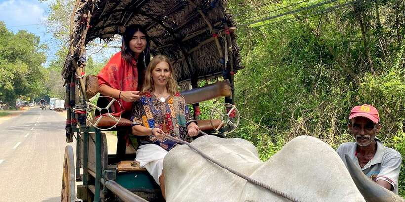 Kandy: Sigiriya, Dambulla & Wildlife Safari Private Tour - Should you book the Sigiriya and safari combination?