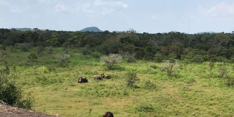 Kandy: Sigiriya, Dambulla & Wildlife Safari Private Tour - Dambulla’s five caves and the rules for entering