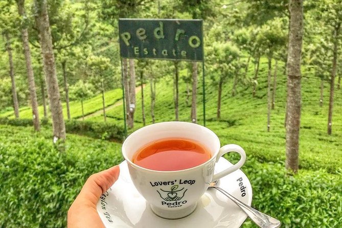 Kandy to Nuwara Eliya Day Tour - Key points at a glance