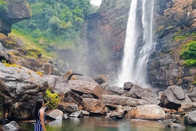 Kandy to Nuwara Eliya Day Tour - Tea plantations and the factory visit