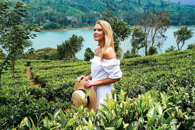 Kandy to Nuwara Eliya Day Tour - Reaching Nuwara Eliya and Gregory Lake
