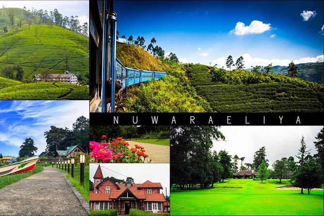 Kandy to Nuwara Eliya Day Trip – Little England & Tea Country - Why the Kandy to Nuwara Eliya road is the real attraction