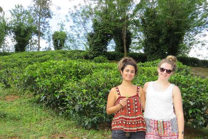 Kandy to Nuwara Eliya Day Trip – Little England & Tea Country - Nuwara Eliya feels unlike the rest of the route