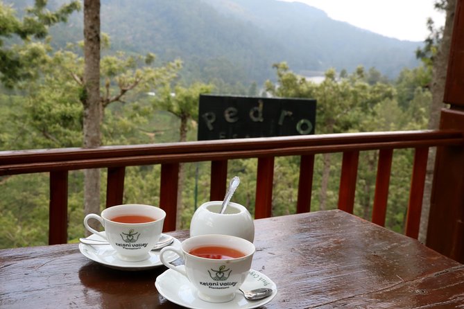 Kandy to Nuwara Eliya Day Trip – Little England & Tea Country - Victoria Park and the town’s formal side