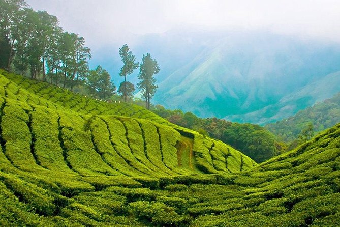 Kandy to Nuwara Eliya Day Trip – Little England & Tea Country - Ramboda Waterfall brings the day outdoors