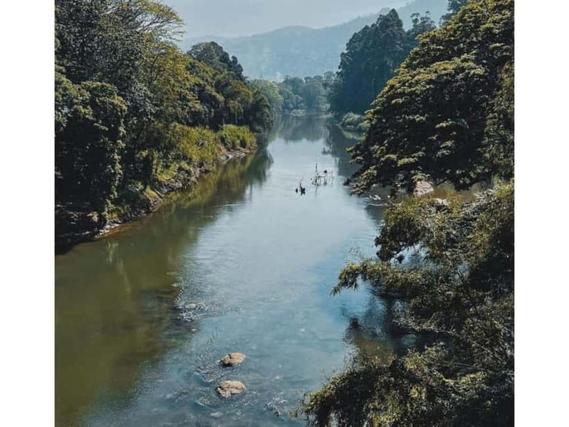 Kandy to Pinnawala Guided Day Tours by Local - FAQ