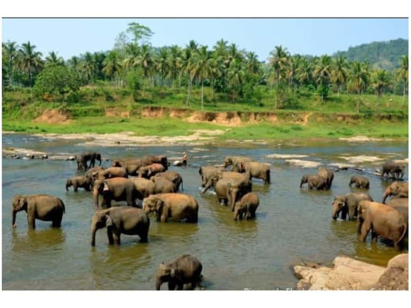 Kandy to Pinnawala Guided Day Tours by Local - Crafts, Gemstones, and Herbal Products