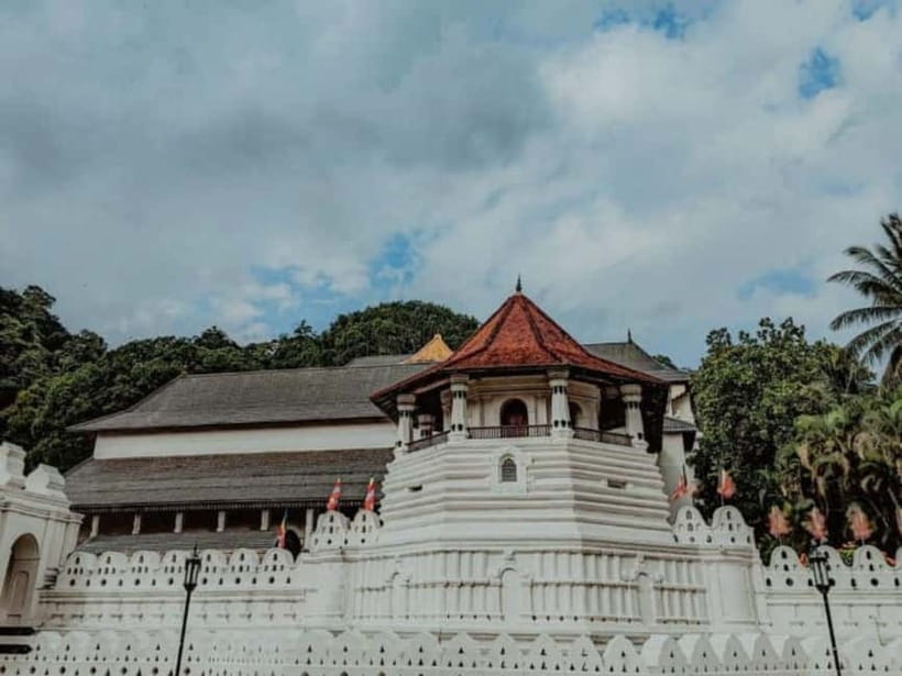Kandy to Pinnawala Guided Day Tours by Local - What the $14 Price Really Buys