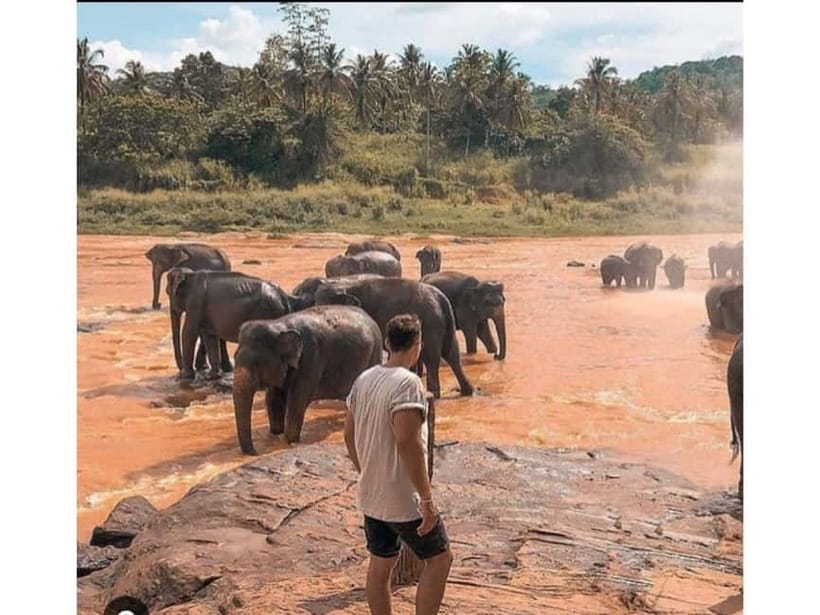 Kandy to Pinnawala Guided Day Tours by Local - Who Should Book This Day?