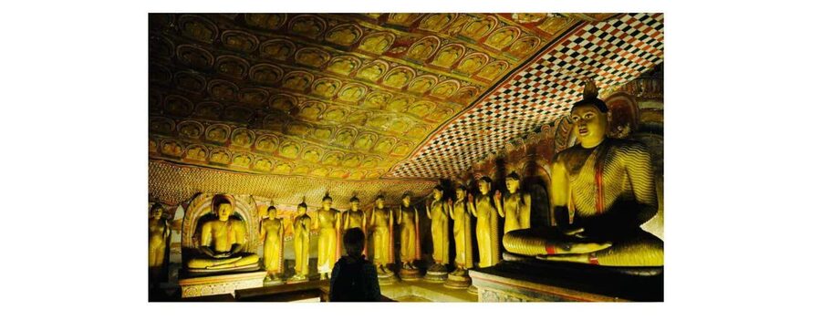 Kandy to Sigiriya Guided Day Tours by Local - Adding a wildlife safari at Minneriya or Echo Park