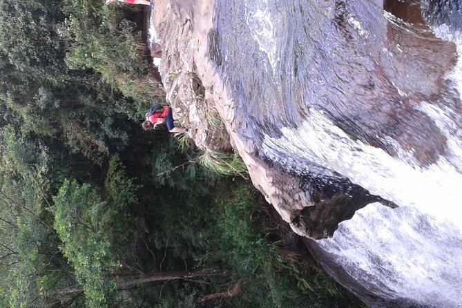 kandy waterfalls day tour - A Sri Lankan lunch beside the water