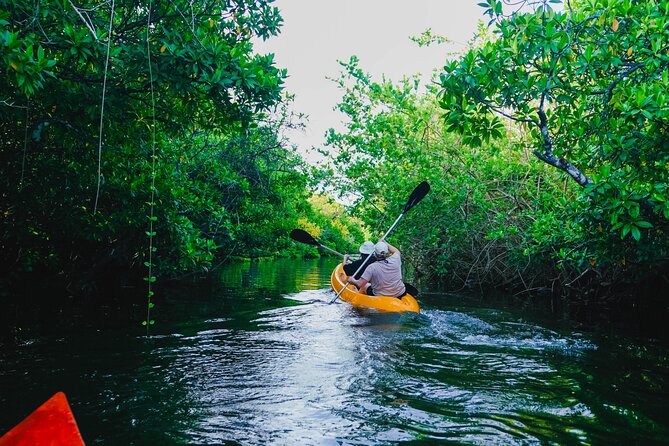 Kayaking Adventure on serene waters through mangroves, Akurala - Key points to know before you go