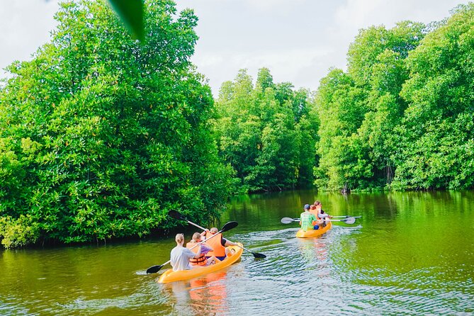 Kayaking Adventure on serene waters through mangroves, Akurala - Why the private format matters