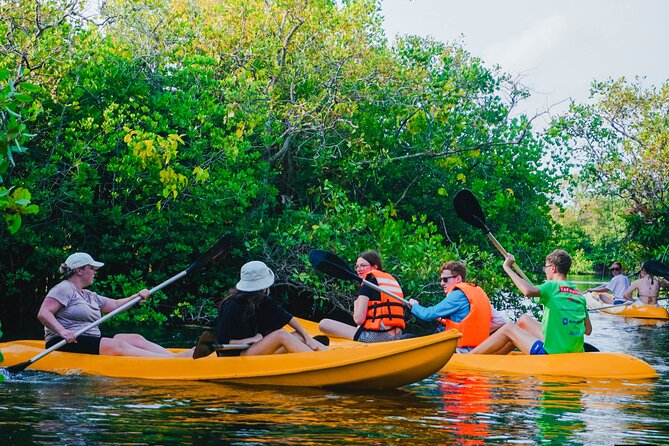 Kayaking Adventure on serene waters through mangroves, Akurala - Finding Happy Turtles Travels in Akurala