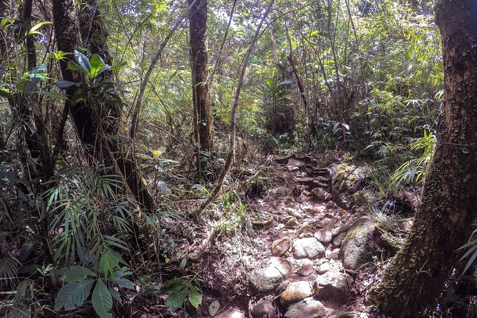 Knuckles Leopard trail Trek from Kandy - What the $100 price really covers