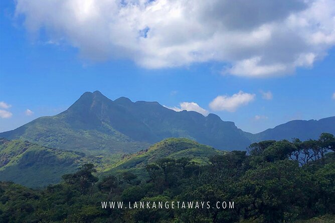 Knuckles Mountain Hiking - Key points to know before you book