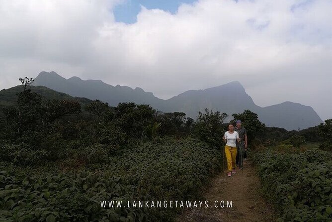 Knuckles Mountain Hiking - Bamboo, cloud forest, and the feel of the trail