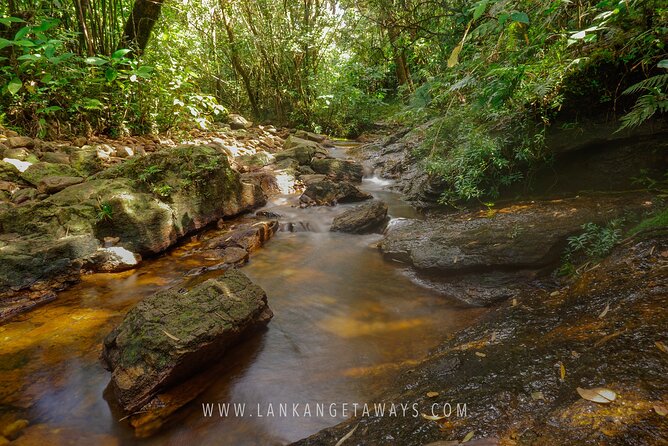 Knuckles Mountain Hiking - Private guiding and the strongest part of the experience