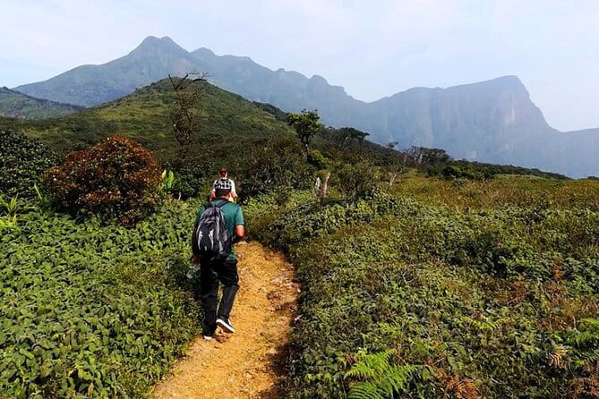 Knuckles Mountain Range Hiking and Trekking Day Tour From Kandy Hotels - Why Knuckles is worth a full day from Kandy