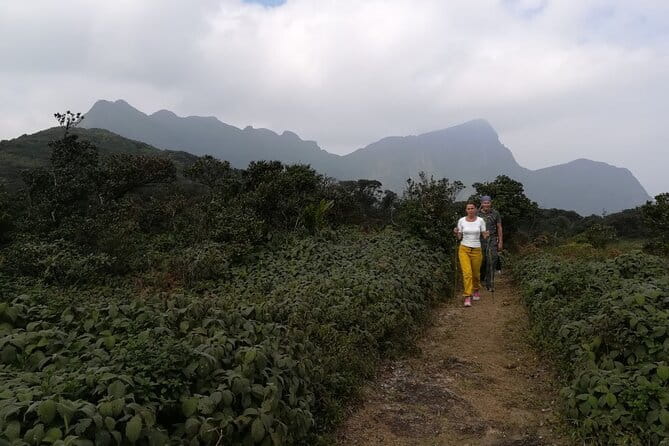 Knuckles Mountain Range Hiking and Trekking Day Tour From Kandy Hotels - Reaching the trailhead around 6:30 a.m.