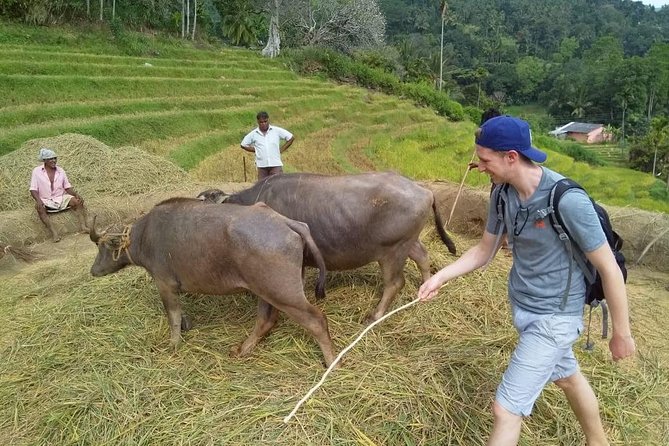 Knuckles Spice Trail Trek from Kandy - Why this trek feels different from a standard Kandy day trip