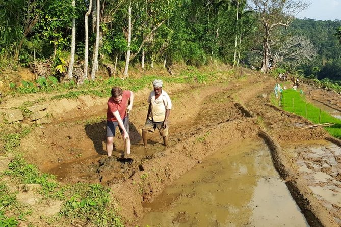Knuckles Spice Trail Trek from Kandy - Waterfall crossing and the natural pool