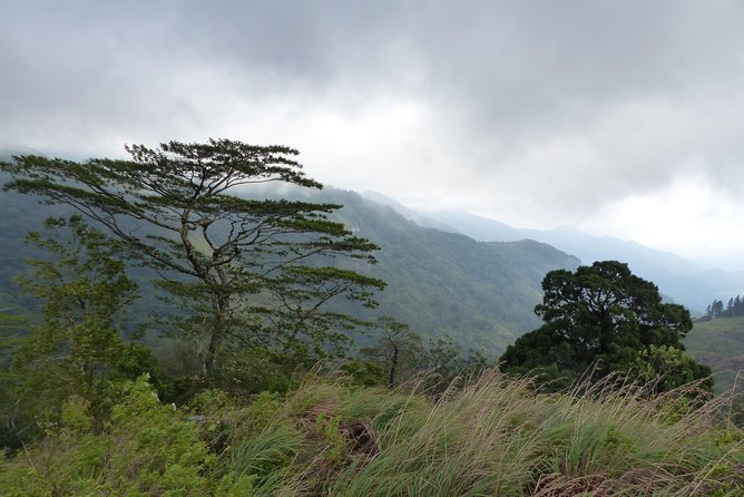 Knuckles Spice Trail Trek from Kandy - Rice terraces, gardens, and a traditional village