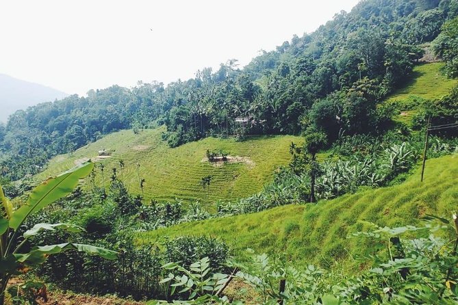 Knuckles Spice Trail Trek from Kandy - What the private format adds