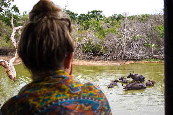 Kumana National Park Half Day Jeep Safari - Bird watching in May and June