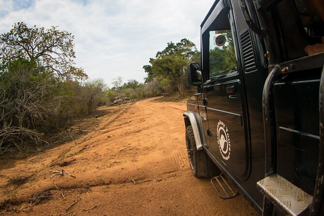 Kumana National Park Half Day Jeep Safari - Choosing the morning or afternoon safari