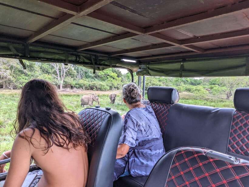 Kumana National Park : Morning or Afternoon Safari Tour - Leopards, elephants, deer, and crocodiles