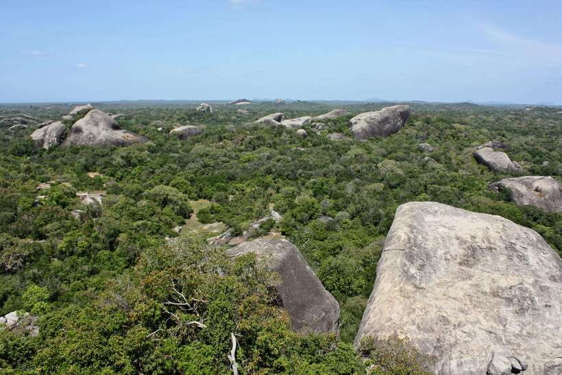 Kumana National Park : Morning or Afternoon Safari Tour - Is $47 a fair price?