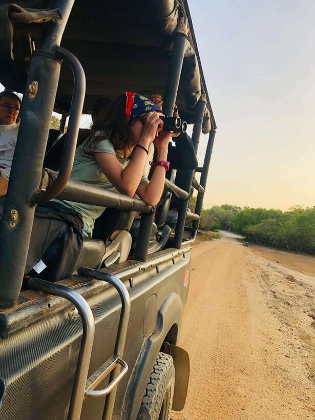 Kumana National Park : Private Half-Day Jeep Safari - What the guide can add to your safari
