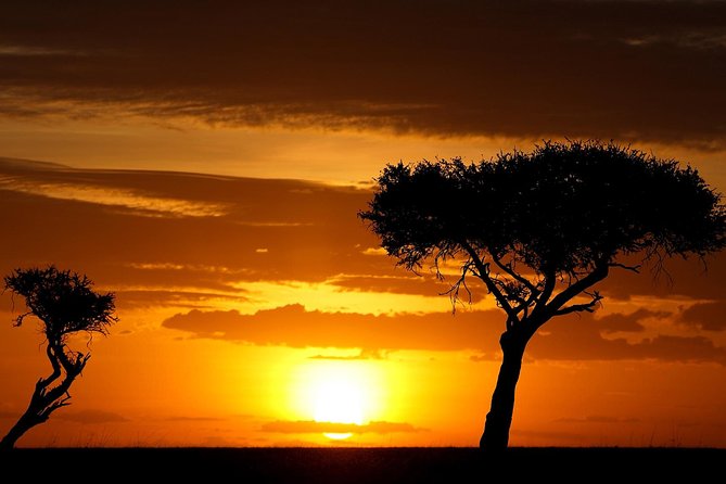 Leopard Safari Tour in Yala National Park - Morning, afternoon, or the longer option