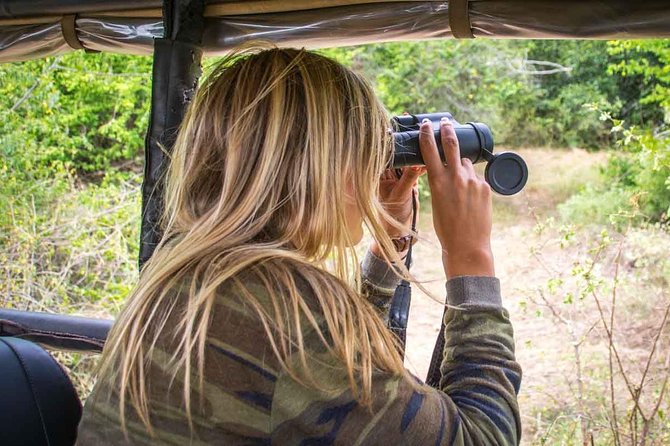 Leopard Safari Tour in Yala National Park - What happens inside the park
