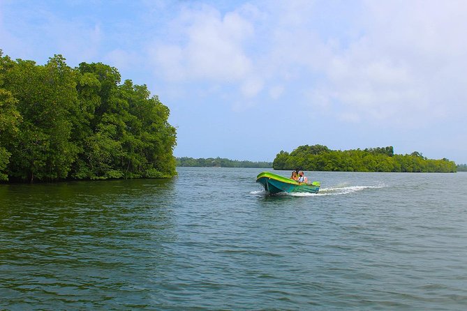 Madu River Boat Safari Balapitiya - The island temple stop