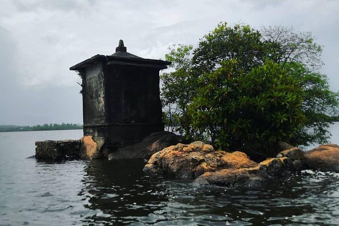 Madu River Boat Safari Balapitiya - The fish foot massage pond