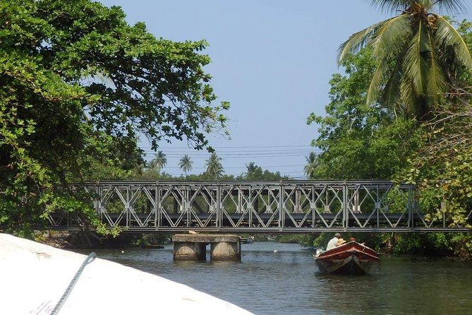Madu River Boat Safari Balapitiya - Timing, weather, and practical planning