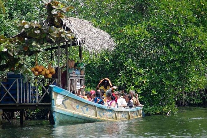 Madu River Boat Safari Balapitiya - A motorboat ride through mangroves and islands