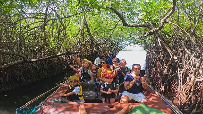Madu River Boat Tour and Cinnamon Garden visit - Key points to know before you go