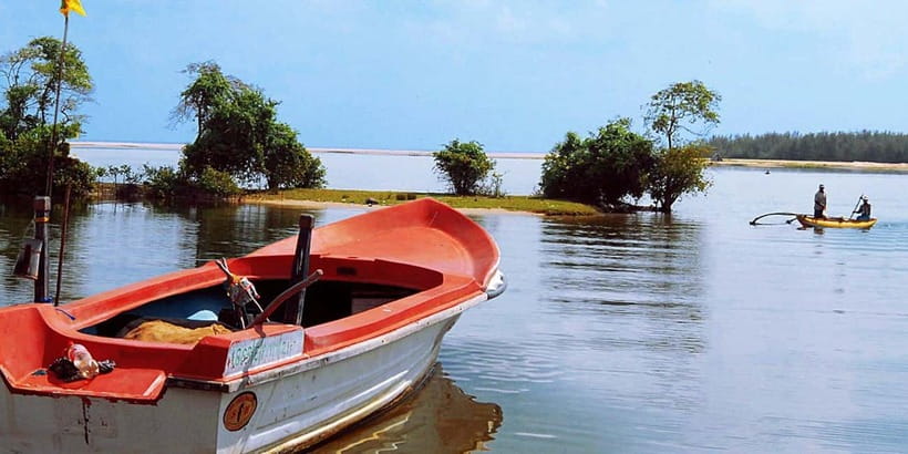 Madu River Boat Tour and Cinnamon Garden visit - A quiet start on the Madu River