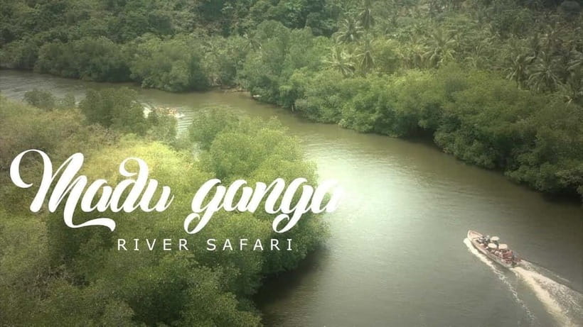Madu River Boat Tour and Cinnamon Garden visit - The island temple and the optional fish massage