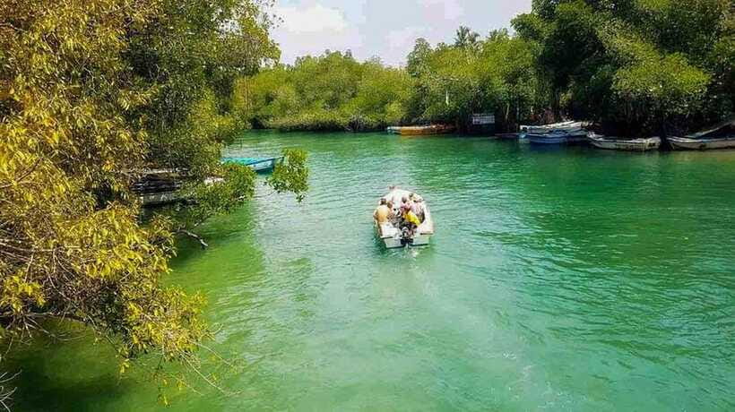 Madu River Boat Tour and Cinnamon Garden visit - How long the experience really takes