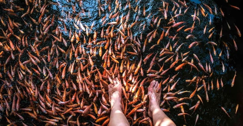 Madu River Boat Tour and Cinnamon Garden visit - Is $29 good value?